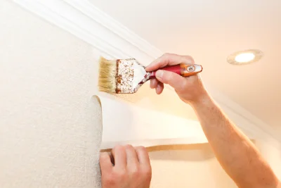 Pose de papier peint à Projan — revêtements muraux et toiles de verre
